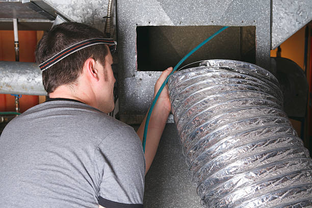 Best Air Duct Mold Removal  in Pleasant Gap, PA